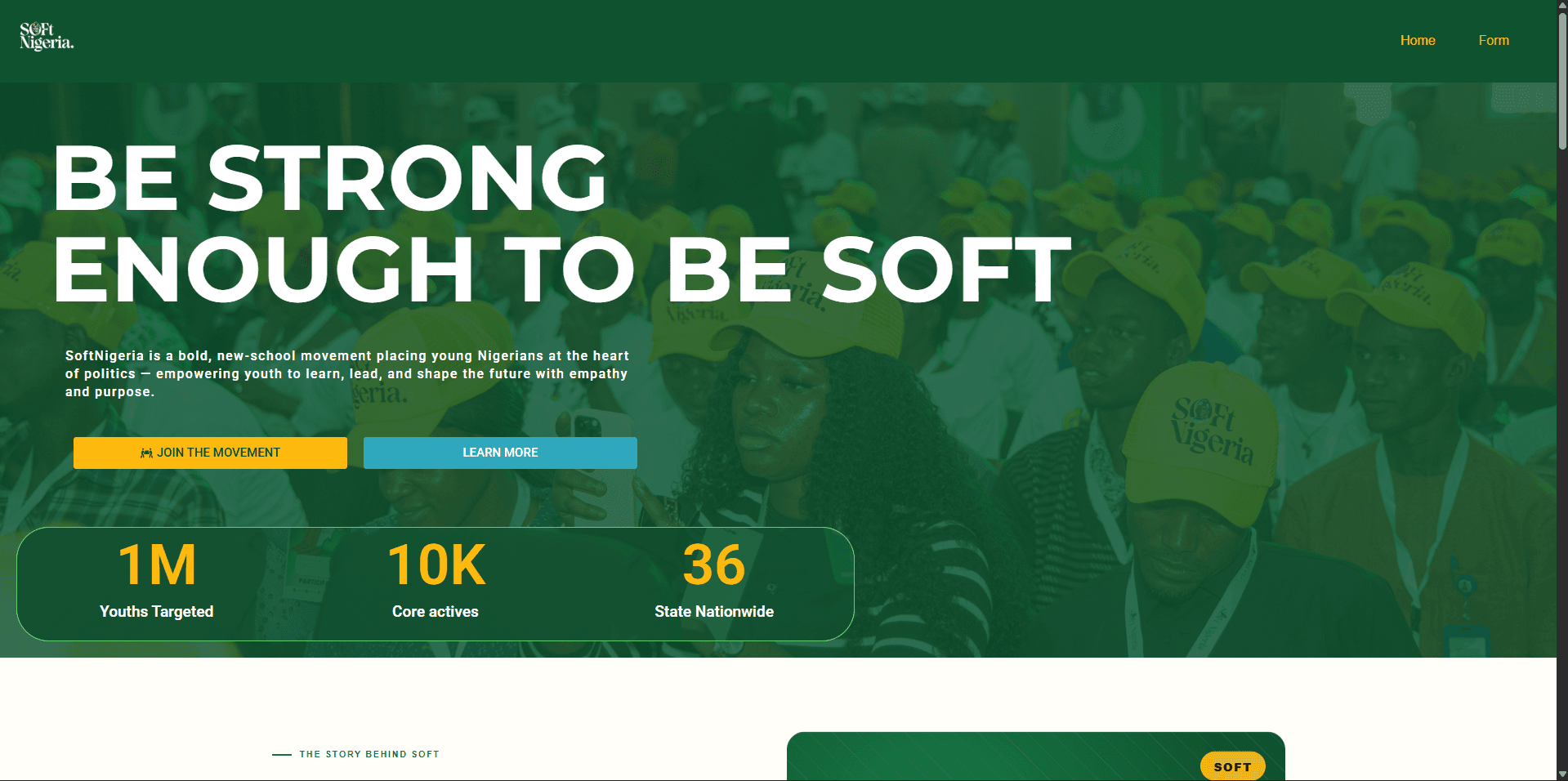 SoftNigeria website preview